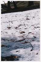 Free download IMG 20180719 0018 free photo or picture to be edited with GIMP online image editor