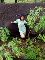 Free download IMG 20181014 085008 free photo or picture to be edited with GIMP online image editor