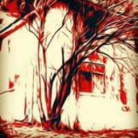 Free download IMG 20190317 190757 606 free photo or picture to be edited with GIMP online image editor