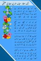 Free download IMG 20190526 144645 free photo or picture to be edited with GIMP online image editor