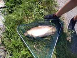 Free download IMG 20190629 102916 free photo or picture to be edited with GIMP online image editor