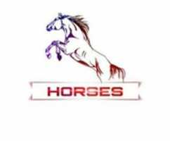 Free download IMG 20190701 WA 0062 free photo or picture to be edited with GIMP online image editor