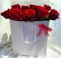 Free download IMG 20190824 WA 0015 free photo or picture to be edited with GIMP online image editor