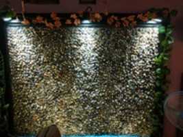 Free download IMG 20200114 221450 free photo or picture to be edited with GIMP online image editor