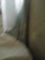 Free download IMG 20200426 100946 free photo or picture to be edited with GIMP online image editor