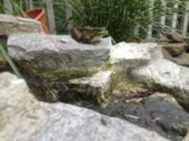 Free download IMG 2300 free photo or picture to be edited with GIMP online image editor