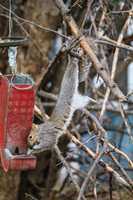 Free download IMG 3642 1 3 free photo or picture to be edited with GIMP online image editor