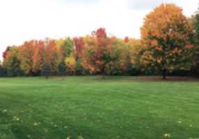 IMG 3762 GIMP online editor free Free download IMG 3762 free photo or picture to be edited with GIMP online image editor