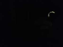 Free download IMG 6408 free photo or picture to be edited with GIMP online image editor