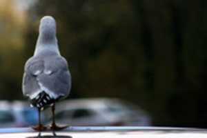 Free download IMG 6423 free photo or picture to be edited with GIMP online image editor