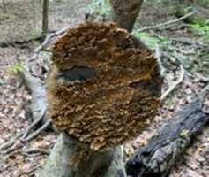 Free download IMG 6652 free photo or picture to be edited with GIMP online image editor