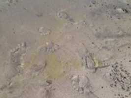 Free download IMG 7373 free photo or picture to be edited with GIMP online image editor