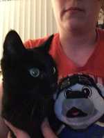 Free download IMG 8501 free photo or picture to be edited with GIMP online image editor