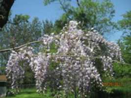 Free download IMG 8727 free photo or picture to be edited with GIMP online image editor