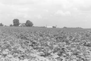 Free download img970 free photo or picture to be edited with GIMP online image editor