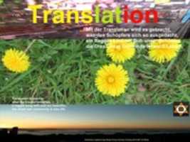 Free download IMG 9827 Perspektiven Bottrop ( 28.03.2021) free photo or picture to be edited with GIMP online image editor