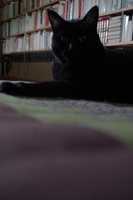 Free download IMGP 1327 free photo or picture to be edited with GIMP online image editor