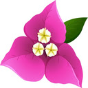 Immortal cactus  screen for extension Chrome web store in OffiDocs Chromium