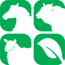 Importador AgroBold  screen for extension Chrome web store in OffiDocs Chromium