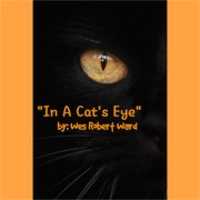 Free download In A Cats Eye free photo or picture to be edited with GIMP online image editor