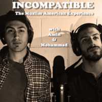 Free download Incompatible free photo or picture to be edited with GIMP online image editor