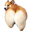 Incroyable du cul  screen for extension Chrome web store in OffiDocs Chromium