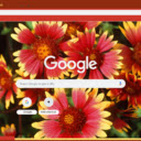 Indian Blanket  screen for extension Chrome web store in OffiDocs Chromium