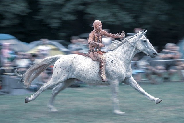Free download Indian Horse Gallop -  free photo or picture to be edited with GIMP online image editor