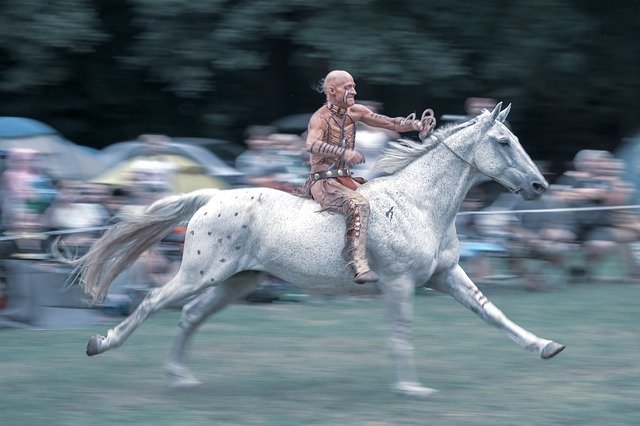 Descarga gratuita Indian Horse Gallop: foto o imagen gratuita para editar con el editor de imágenes en línea GIMP