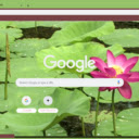 Indian Lotus  screen for extension Chrome web store in OffiDocs Chromium