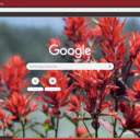 Indian Paintbrush  screen for extension Chrome web store in OffiDocs Chromium