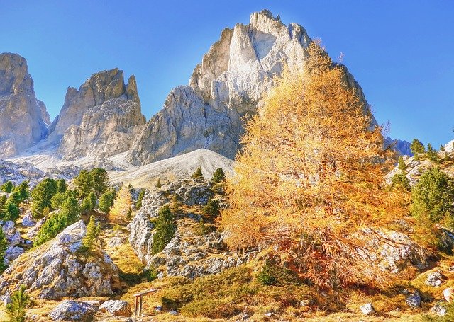 Free download Indian Summer Dolomites Autumn -  free photo or picture to be edited with GIMP online image editor