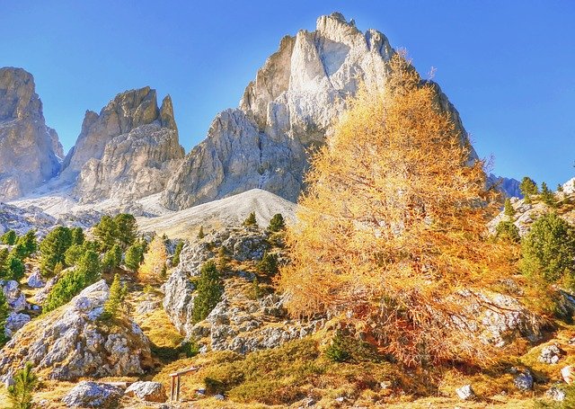 Gratis download Indian Summer Dolomites Autumn - gratis foto of afbeelding om te bewerken met GIMP online afbeeldingseditor