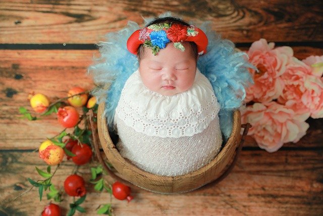 Free download infant swaddled baby newborn baby free picture to be edited with GIMP free online image editor