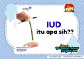 Free download Infografis IUD  free photo or picture to be edited with GIMP online image editor