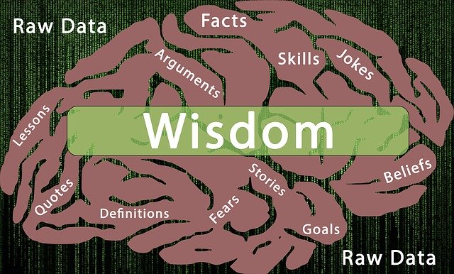 Free download Information Processing Wisdom -  free illustration to be edited with GIMP free online image editor