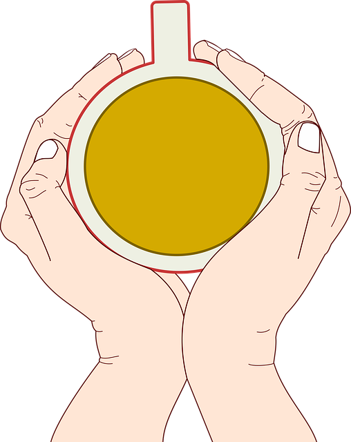 Free download Infusion Broth Cup - Free vector graphic on Pixabay free illustration to be edited with GIMP free online image editor