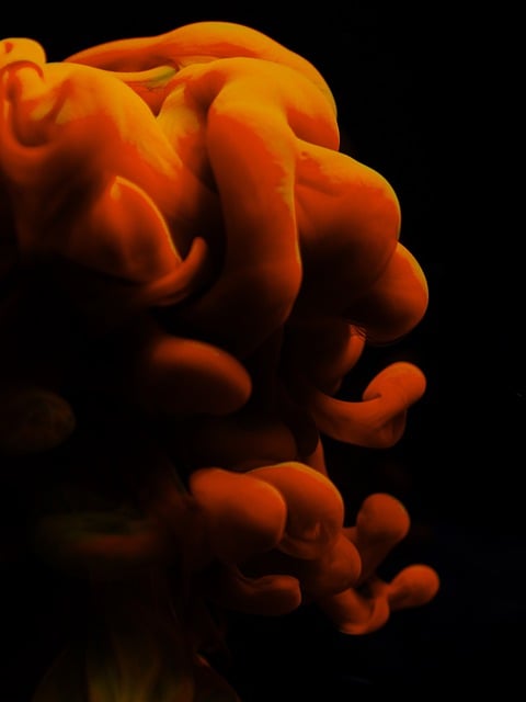 قم بتنزيل ألوان الحبر مجانًا للصور الممزقة تحت الماء ليتم تحريرها باستخدام محرر الصور المجاني عبر الإنترنت GIMP