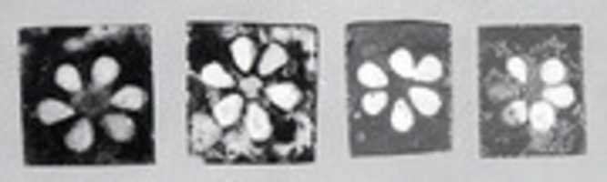 Free download Inlays: white rosettes on blue backgrounds free photo or picture to be edited with GIMP online image editor