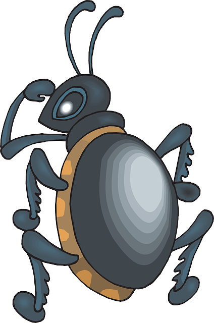 Free download Insect Beetle Shine - Free vector graphic on Pixabay free illustration to be edited with GIMP free online image editor