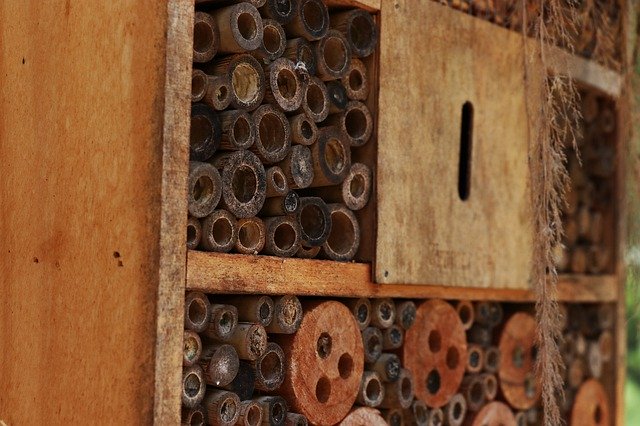 Free download Insect Hotel Habitat Brown -  free photo or picture to be edited with GIMP online image editor