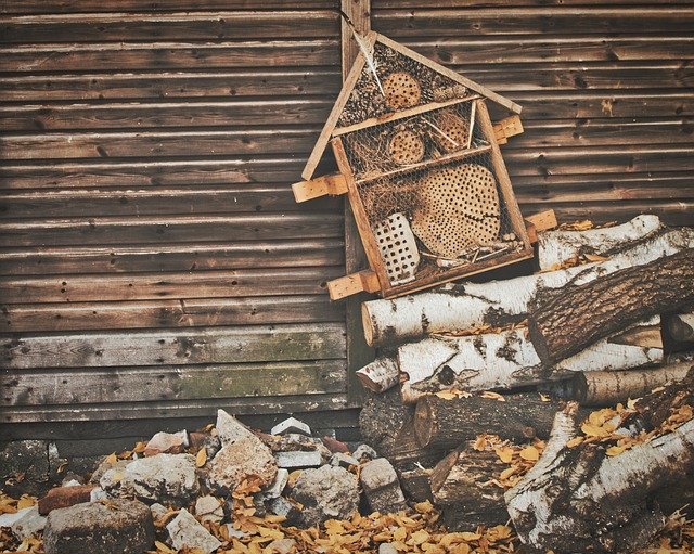 تنزيل Insect Hotel Nature Conservation مجانًا - صورة مجانية أو صورة لتحريرها باستخدام محرر الصور عبر الإنترنت GIMP