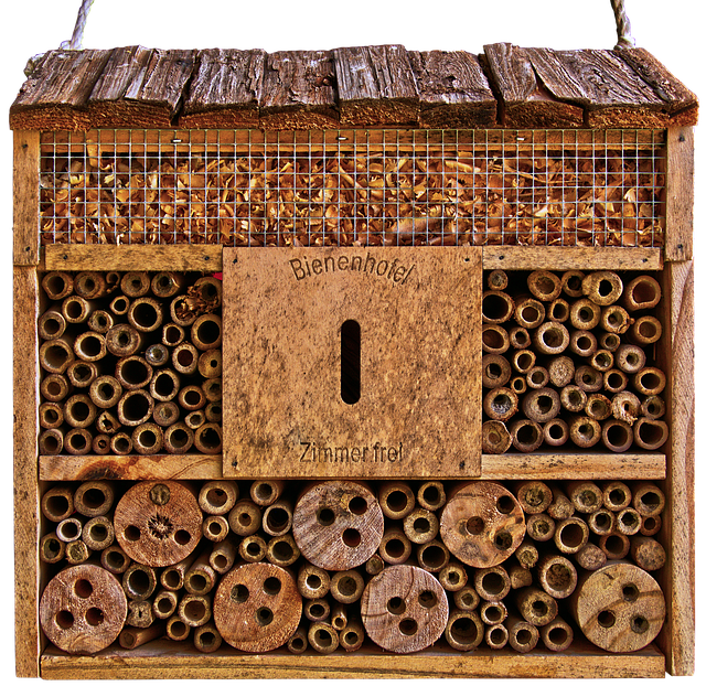 Libreng download Insect Hotel Shelter Nesting Help - libreng larawan o larawan na ie-edit gamit ang GIMP online na editor ng imahe