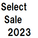 Insert Select Sale 2023  screen for extension Chrome web store in OffiDocs Chromium