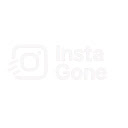 Instagone  screen for extension Chrome web store in OffiDocs Chromium