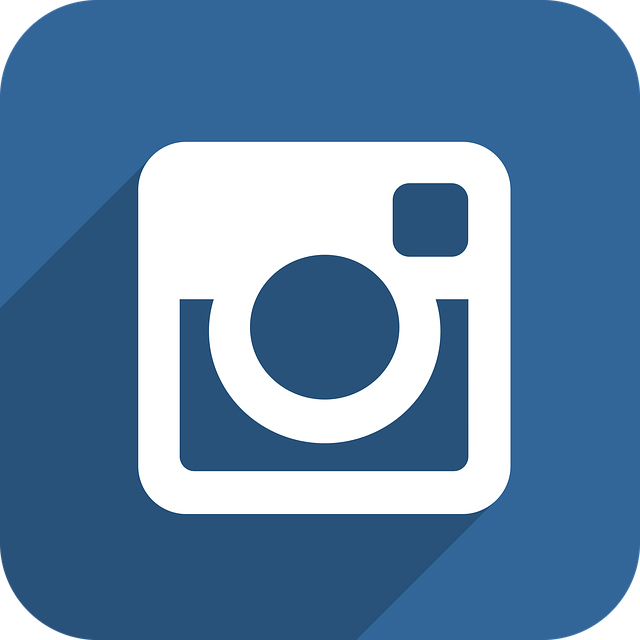 Free download Instagram Icon Button - Free vector graphic on Pixabay free illustration to be edited with GIMP free online image editor