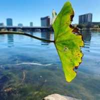 Free download Instagram Reckful (byron.bernstein) free photo or picture to be edited with GIMP online image editor
