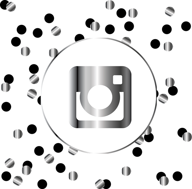 Free download Instagram Silver Icon -  free illustration to be edited with GIMP free online image editor