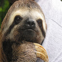 InstaSloth  screen for extension Chrome web store in OffiDocs Chromium