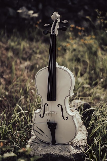 Free download instrument violin music melody free picture to be edited with GIMP free online image editor